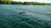 IMG_20170716_082314534.jpg