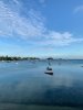 IMG_2418.jpeg