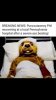 FB_IMG_1551902279243.jpg