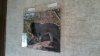 20170611_181748.jpeg