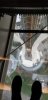 day 9 - glass floor space needle.jpg