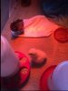 B698D740-4C87-4D86-824F-D3AABAF85ED0.jpeg