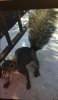 upload_2019-3-12_8-24-27.jpeg