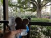mickeybar.jpg