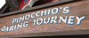 sun 6.JPG