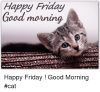 C5DCF863-10CA-452A-BDA8-E8871EBA9780.png