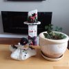 20190315_114324.jpg