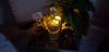 Resized_20190208_221139.jpeg