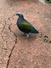 upload_2019-3-15_20-41-27.jpeg