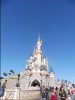 P1010893 (480x640).jpg