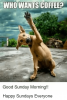 D9C986B8-44CE-4B36-BB9A-A415D61D5FDF.png