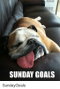 C2F8EC91-6653-491E-8CC6-C5698E847F58.png