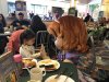 IMG_8579.jpeg