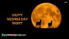 156C86EA-1DA4-4BB4-888F-072BC33CA397.jpeg