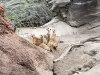 20190310_104051_small.jpg