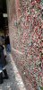 day 9 - pikes gumwall3.jpg