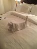 9 Towel animal.jpg