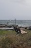 day 10 mukilteo kayak and windsurfers.jpg