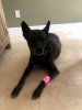 last chemo 3-26-19.jpg