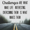 IMG_0366.PNG