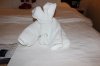gc towel.jpg