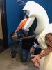 IMG_8705.jpeg