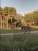 IMG_9888.JPG