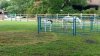 IMG_20190328_114415755.jpg