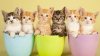 upload_2019-4-2_12-57-40.jpeg