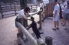 img0001_resize.jpg