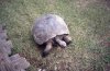 img0006_resize.jpg