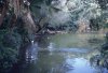img0008_resize.jpg