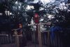 img0016_resize.jpg