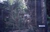 img0024_resize.jpg
