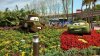 Epcot FG 2019 cars.jpg