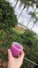 IMG_Apr42019at81713PM.jpg