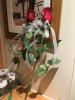 upload_2019-4-4_18-28-25.png