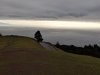 IMG_20190305_160446.jpg