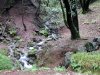 IMG_20190305_161434.jpg