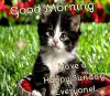 03FD140F-A3FE-4C83-A377-EC5746DCD159.jpeg