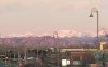 20190407_065152.jpg