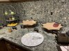 IMG_8873.jpeg