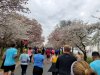 20190407_084807.jpg