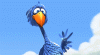 bird.gif