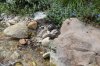 DSC_0668.JPG