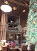 06BC51AE-EBA7-4A68-8D24-C145C7513802.jpeg