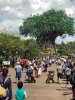 Tree of Life.JPG
