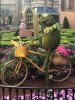 Kermit.JPG