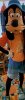 IMG_0052.jpg IMG_0052.jpg