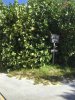 CC 16 bike hike.jpg